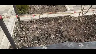 Вносим 1 удобрение для винограда.