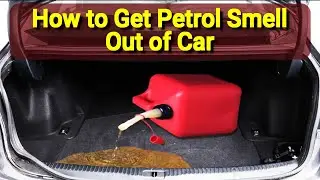How to Remove Petrol Smell Out of a Car in Easy Way | Spill Gasoline in Car