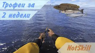 Русская рыбалка 4. Трофеи за 2 недели.