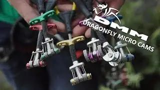 DMM - Dragonfly Micro Cams