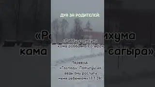 1 мая 2024 г.