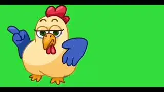 Hen green screen video | Hen green screen | Hen green background | Murgi | no copyright | download♏