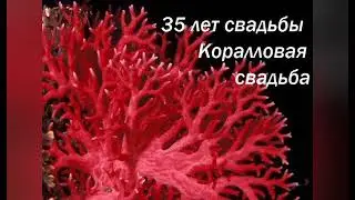 18 сентября 2022 г.         @pai-5468                            ●     35 лет.  КОРАЛЛОВАЯ СВАДЬБА.