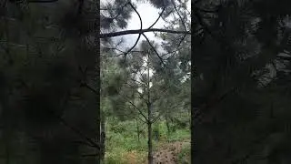 Одесса ⚡️ ЭТО НУЖНО ВИДЕТЬ!