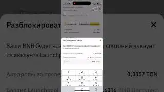 DOGS Launchpad на Binance - Как участвовать и зарабатывать: Гайд для всех