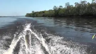 СОЛАР 350 и ЯМАХА 9.9 (раздушена в 15)