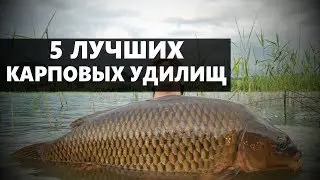 5 ЛУЧШИХ КАРПОВЫХ УДИЛИЩ ДЛЯ РЫБАЛКИ