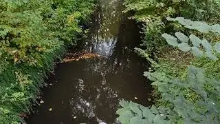 У нас в Германии бабье лето. Погуляем 🤗🍂🌻.