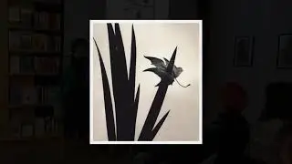 CHEMA MADOZ Y LA NATURALEZA DE LAS COSAS