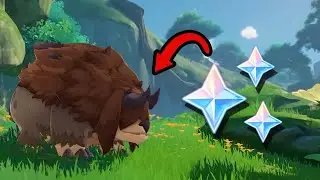 FOLLOW THIS ANIMAL IN SUMERU FOR PRIMOGEMS!! (Genshin Impact)
