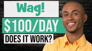 Earn Up To $25/Hour With Dog Walking On Wag (In 2024)