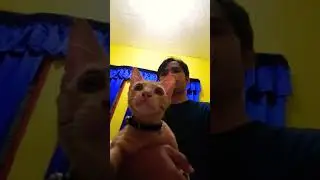 Nonton bareng chimy!Kucing hoby nonton.