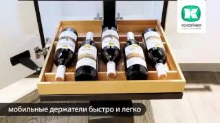 Выдвижной механизм КОНВОЙ-Премио Black Roger Kessebohmer