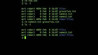 The 'rm' Command In Linux