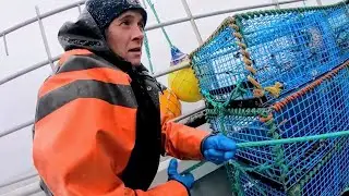 Homards : les pêcheurs de l'extrême