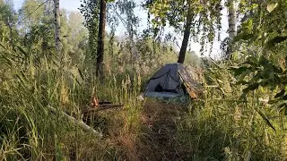 Алексей Романов (Воскресение) - Радуюсь (кавер на Змейке, Алмазное 17.07.2021)