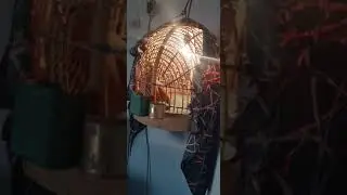 кабки шикори фуруши гарантия 2000с номеро 901447441
