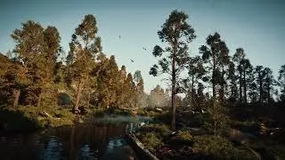 Cinematic Student Project - PCG Forest | Online Course «Digital Art on Unreal Engine 5.4»