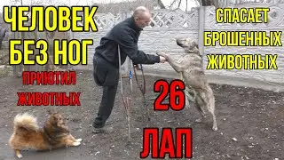 МУЖЧИНА БЕЗ НОГ спас бездомных животных!26 ЛАП и 4 ноги на 15 кв.м.Посылка из Калуги.Распаковка.