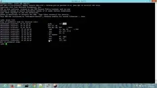ARM Exploitation (Simple Stack Overflow)
