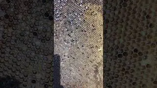 Не делай так ЭТО УСЛОЖНЯЕТ РАННИЙ СТАРТ ПРОЦЕСС РАЗВИТИЯ ПЧЕЛИНОЙ СЕМЬИ это грубая ошибка ✅☝️🐝🐝