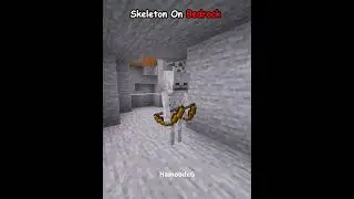 Java Skeleton VS Bedrock Skeleton 💀
