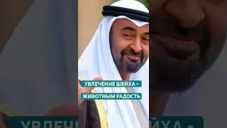 🐠Вот так АКВАРИУМ! От самого богатого шейха в мире