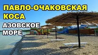 Павло-очаковская коса превратилась в ЗМЕИНЫЙ курорт/ ВПЕРВЫЕ КУПАЮСЬ СО ЗМЕЯМИ