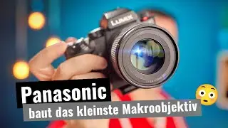 Panasonic Lumix S 100mm F2.8 Makro 𑗅 TEST 𑗅 REVIEW