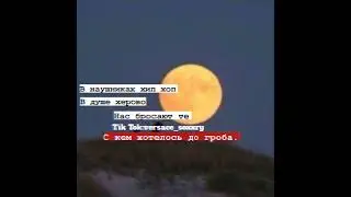 цитата#160