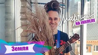 Марлины - 