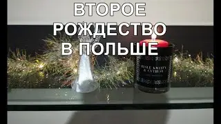 ИЗ РОССИИ В ПОЛЬШУ. Наше Boże Narodzenie w Fałkówe