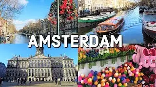 AMSTERDAM City Tour / The Netherlands