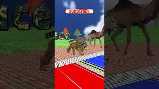 Epic Animal Race, Bear, Horse, Fox, Camel, Buffalo, Lynx #Shorts