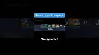 stray228