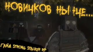 Гайд по Strong STALKER RP | Что такое СЗД? Как пользоваться Детекторами? Что такое ПКА?