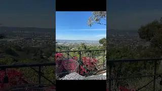 More Nature adventures for peace of mind #naturewalks in the city
