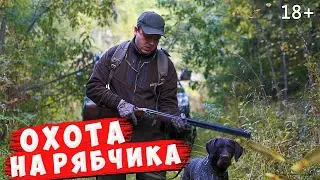 Охота на рябчика с Дратхааром.  Ответ 