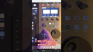 SSL UF1 after 6 months (part 3) #shorts