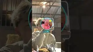 Adapt Asks Jason For His Crunchyroll Account 😭🍙