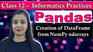 Pandas DataFrame - Creation of DataFrame from NumPy ndarrays | CBSE Class 12 - IP