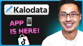 Kalodata Update : Kalodata mobile app is here!