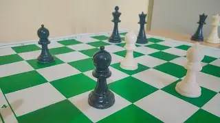 How to use Bishop in chess | Chess class 3