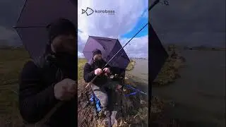 #carpfishing