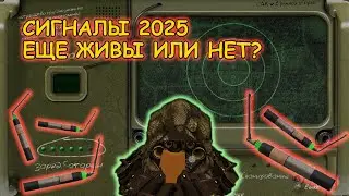STALCRAFT X СИГНАЛЫ 2025 - НУЖНЫ ИЛИ НЕТ?!