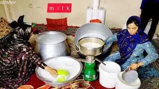 Setare and Maryam went to the milk factory. They are working