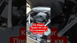 Kia Stinger 2.0T GDI. Эндоскопия мотора.