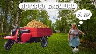 НАГРУЗИЛ МУРАВЕЙ ОПИЛКАМИ | ПОТЕРЯЛ БАБУШКУ