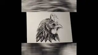 Charcoal Speed Drawing   Finishing the Rooster