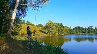 Рыбалка в жару. Ловля карася на донку. Ловля на жмых. Рыбалка с ночевкой